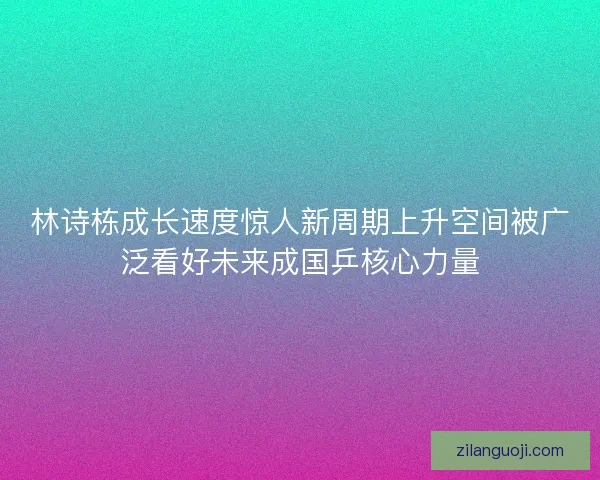 林诗栋成长速度惊人新周期上升空间被广泛看好未来成国乒核心力量 林诗栋成长速度惊人新周期上升空间被广泛看好未来成国乒核心力量