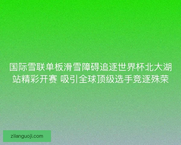 国际雪联单板滑雪障碍追逐世界杯北大湖站精彩开赛 吸引全球顶级选手竞逐殊荣 国际雪联单板滑雪障碍追逐世界杯北大湖站精彩开赛 吸引全球顶级选手竞逐殊荣
