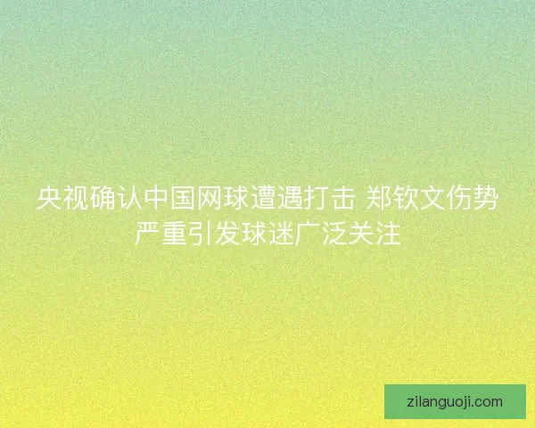 央视确认中国网球遭遇打击 郑钦文伤势严重引发球迷广泛关注